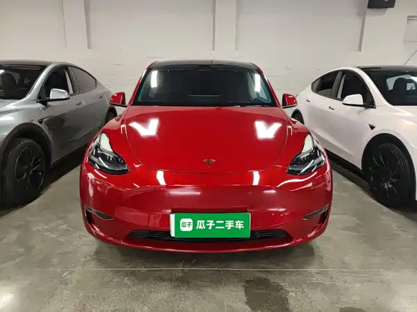 Tesla Model Y 2021