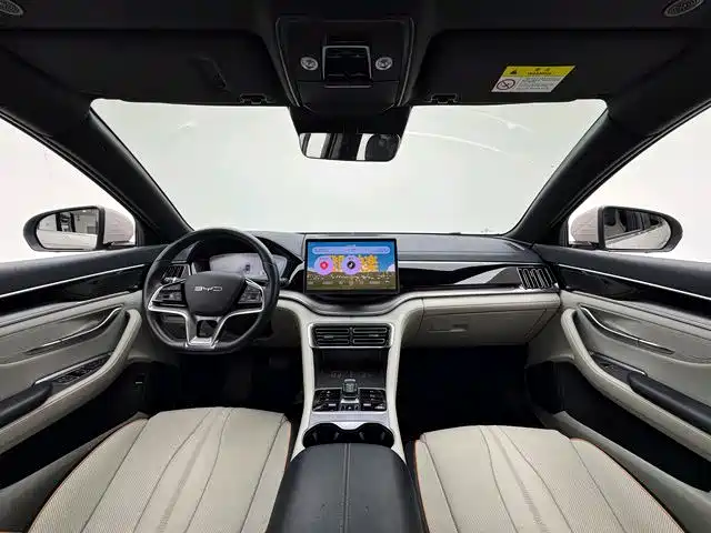 BYD PLUS New Energy 2023 — фото 2