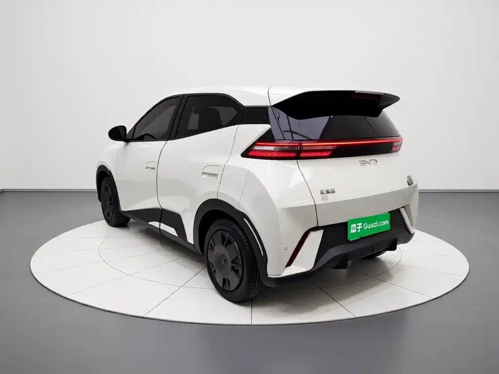 BYD Seagull 2024