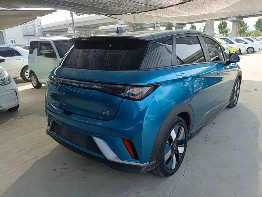 BYD Dolphin 2022