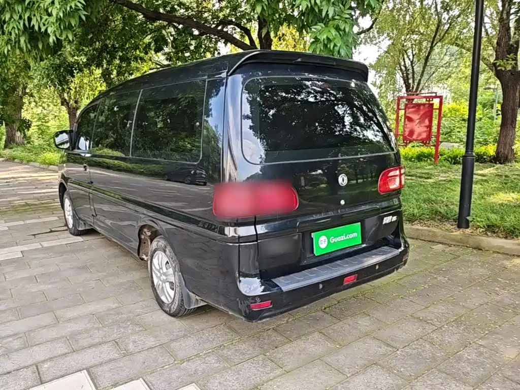 Fengxing Lingzhi 2020