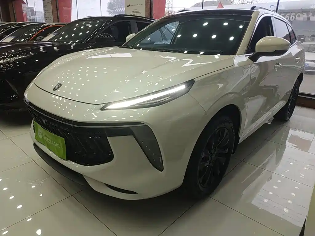 Dongfeng Fengxing T5 EVO 2024 — фото 1
