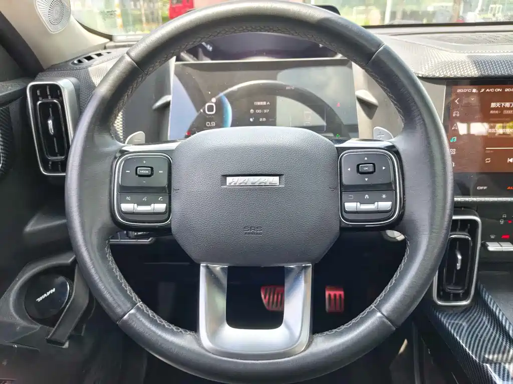 Haval Big Dog 2021 — фото 17