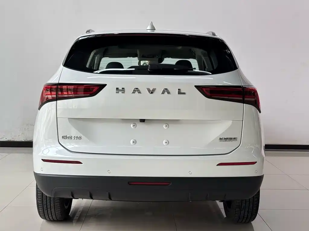 Haval H6 2024 — фото 18