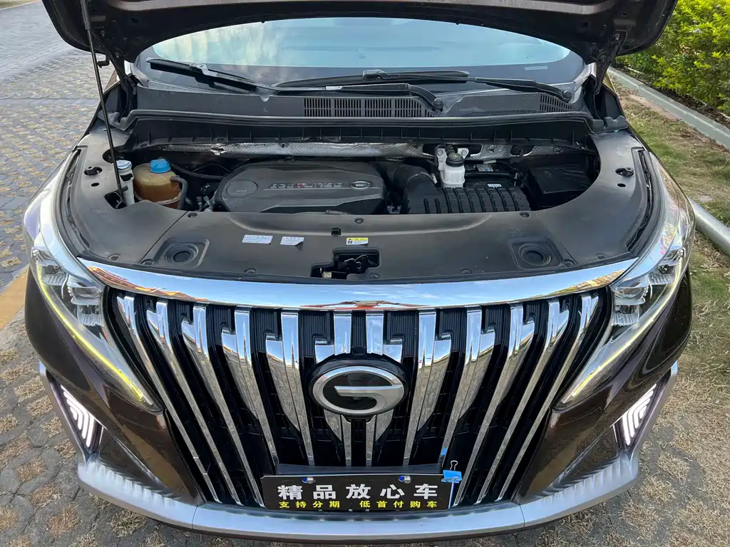 GAC Motor Trumpchi M8 2019 — фото 19