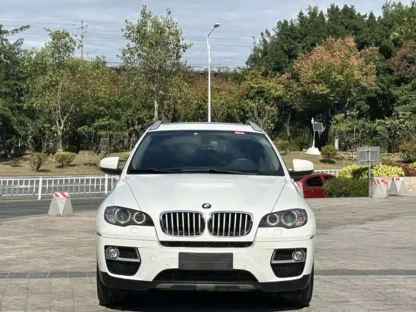 BMW X6 2015