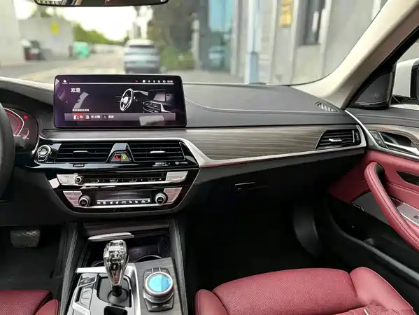 BMW 5 Series 2021