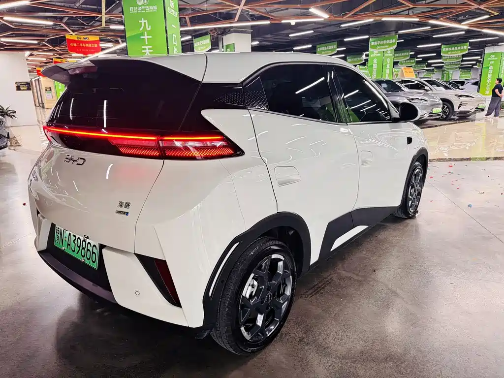 BYD Seagull 2025