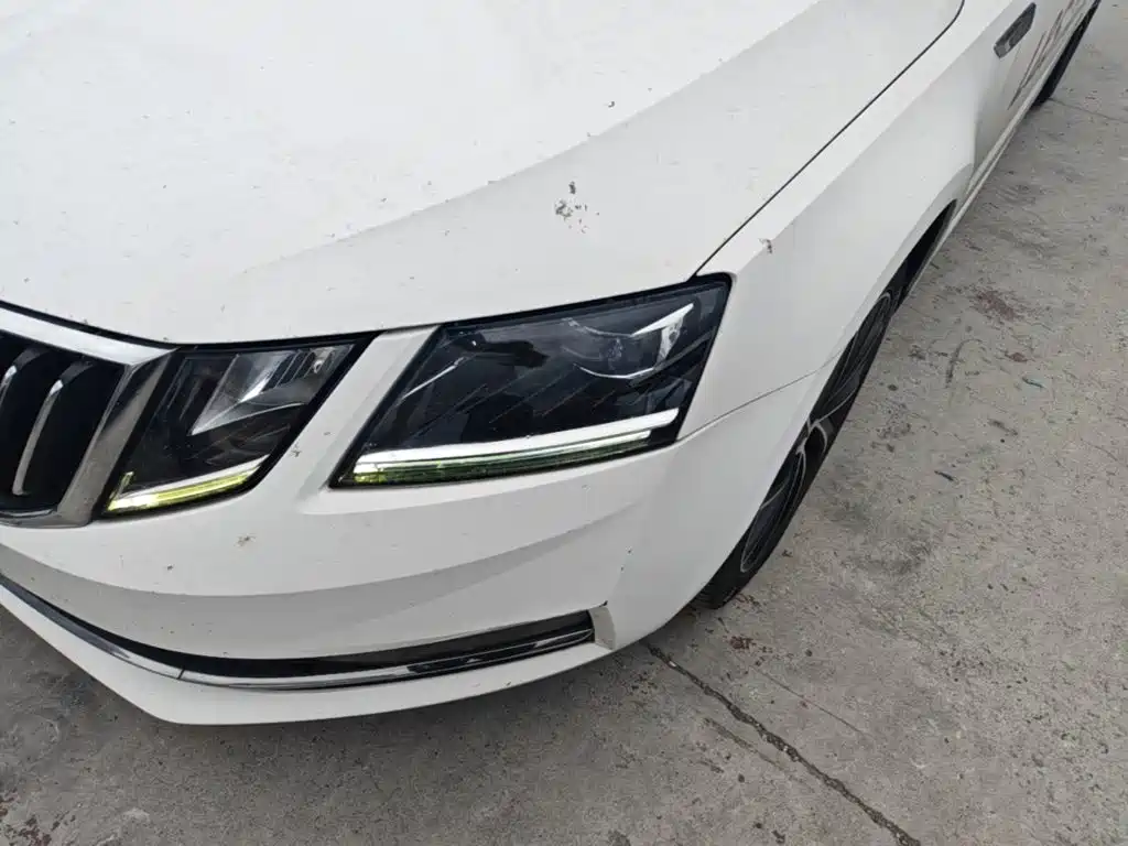 Skoda Octavia 2020 — фото 24
