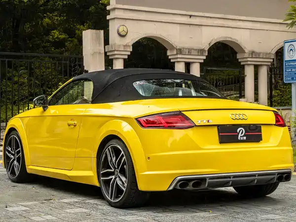 Audi TTS 2018
