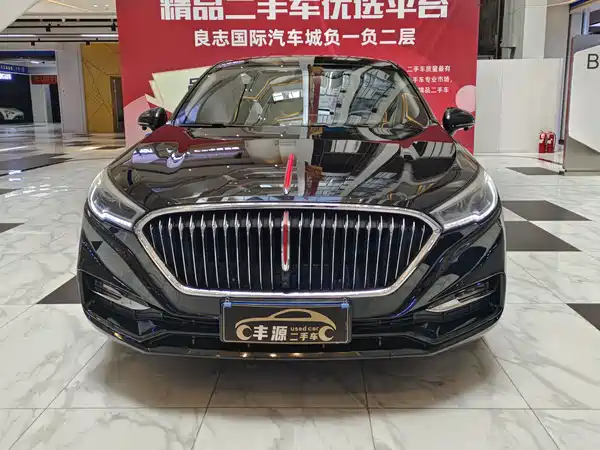 Hongqi H5 2020