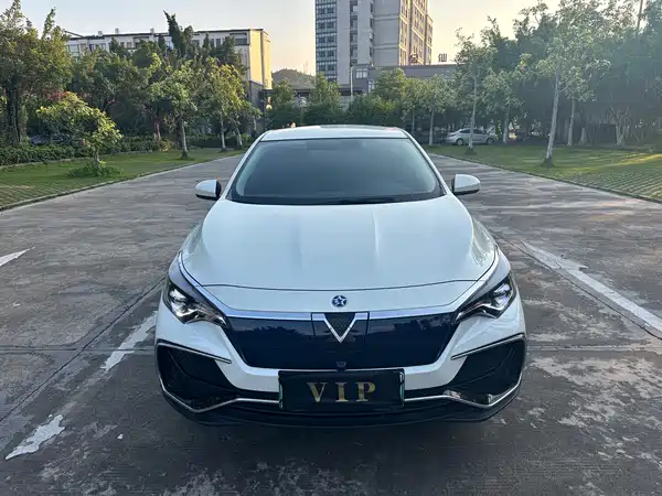 Venucia D60 EV 2024