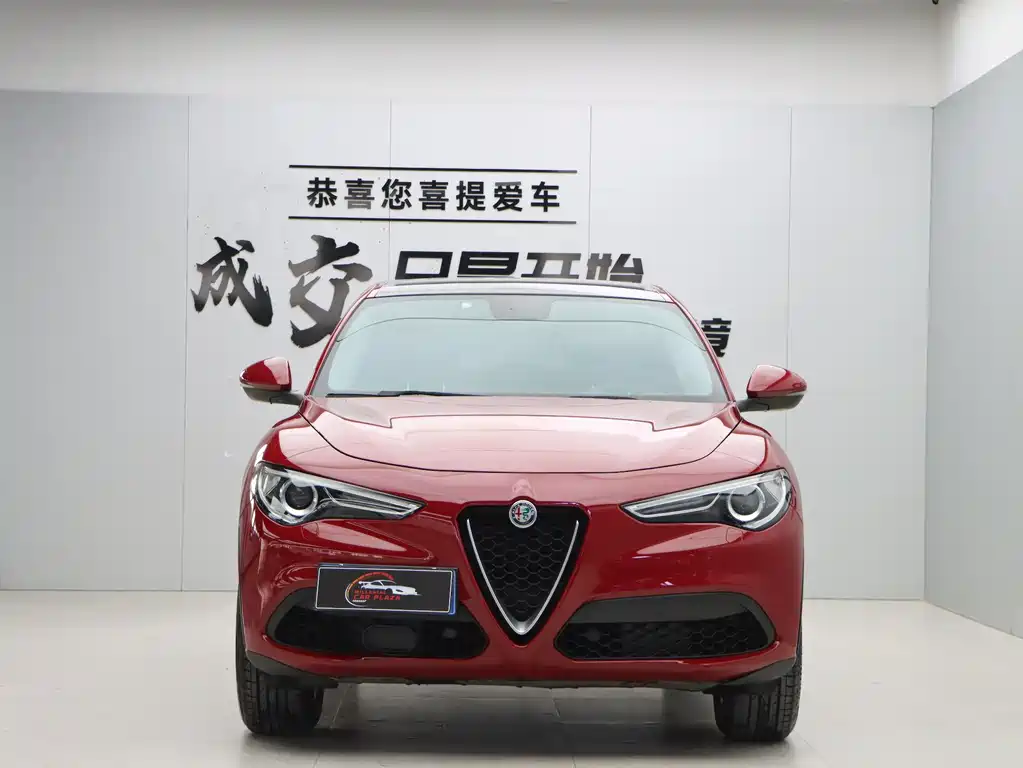 Alfa Romeo Stelvio 2019 — фото 2