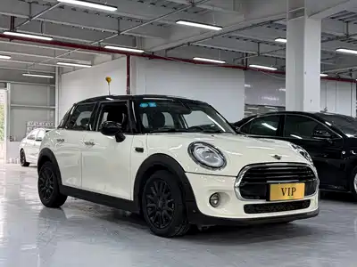 MINI MINI 2018