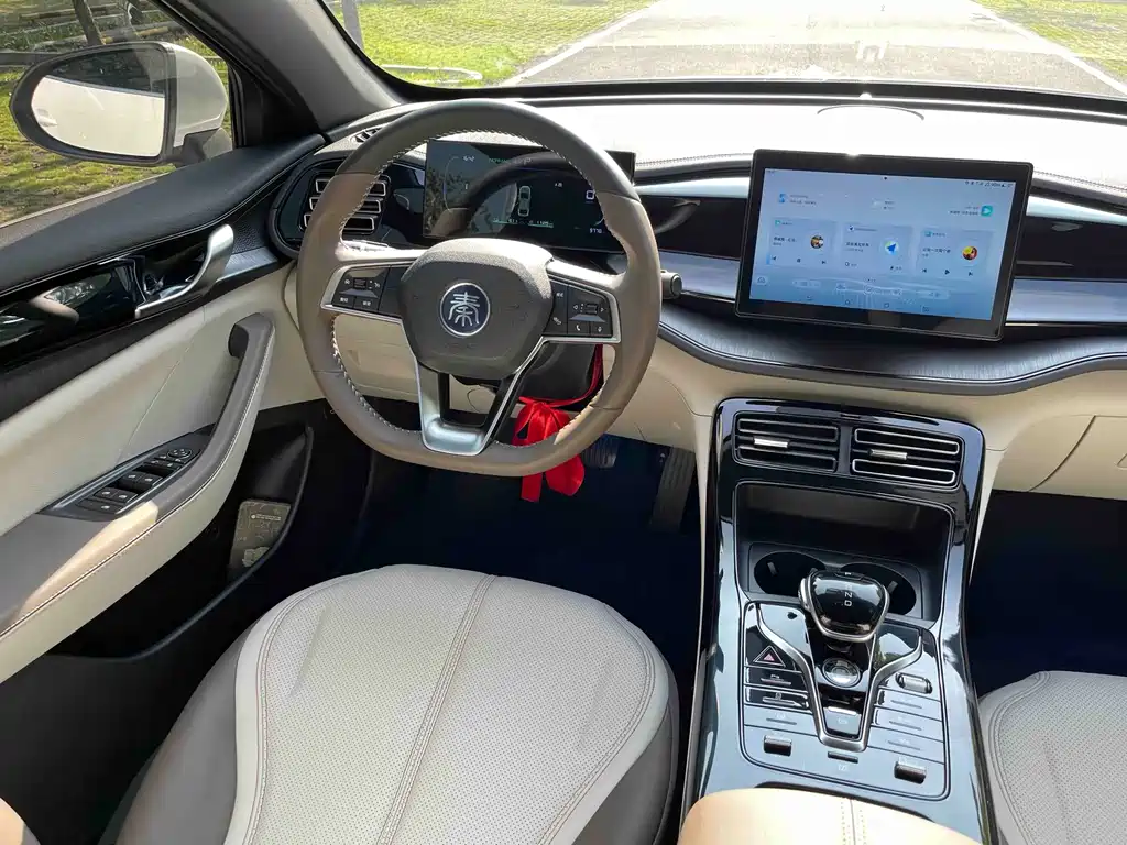 BYD Qin PLUS 2024 — фото 16