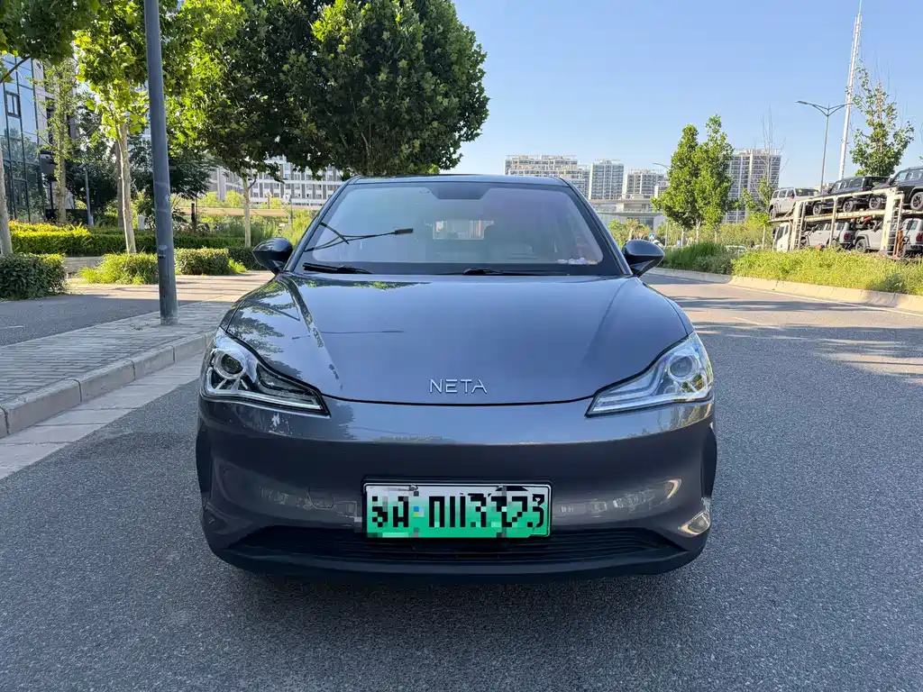 Neta V 2020