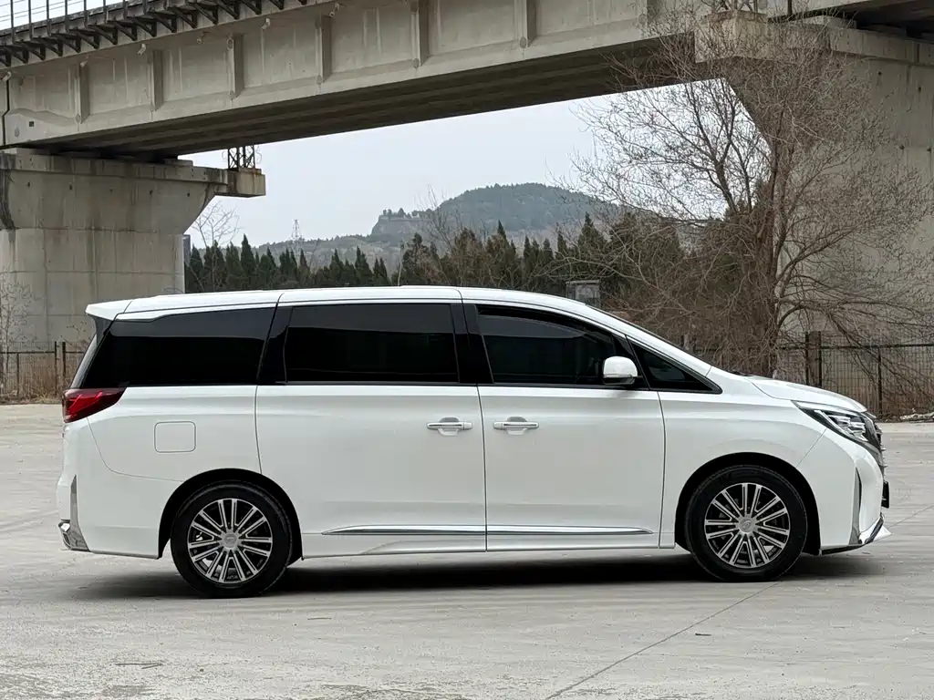 GAC Motor Trumpchi M8 2021 — фото 5