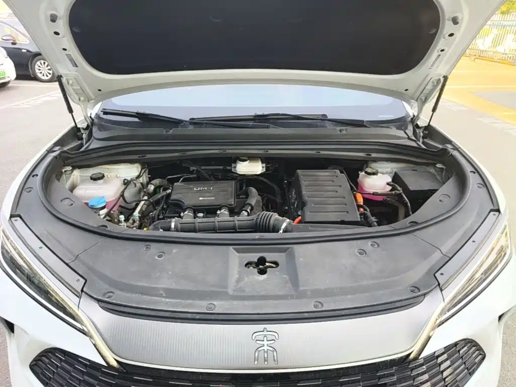 BYD L DM-i 2024 — фото 20