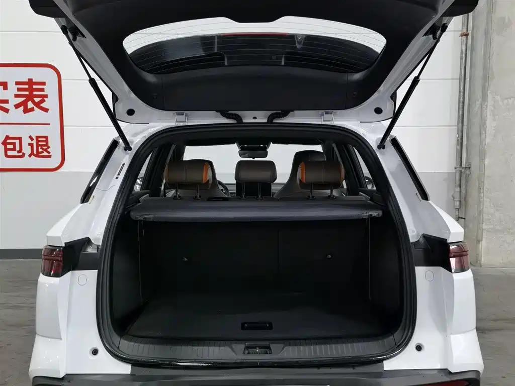 BYD Pro New Energy 2023 — фото 16