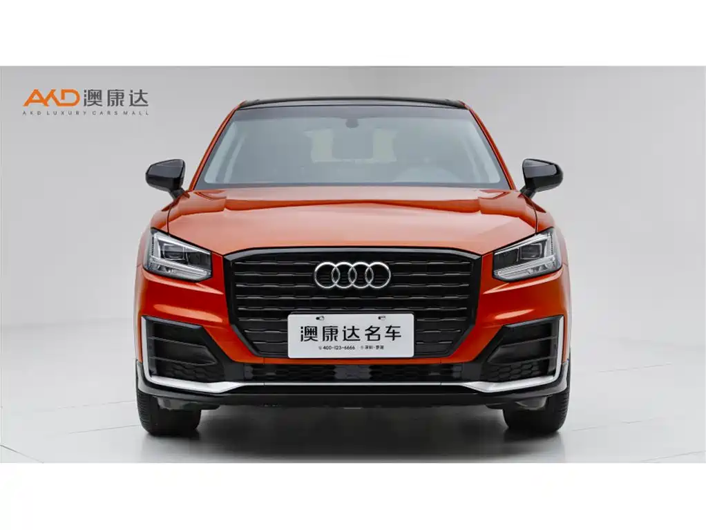 Audi Q2L 2019