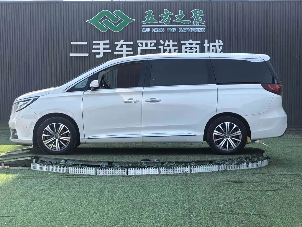 GAC Motor Trumpchi M8 2019 — фото 23