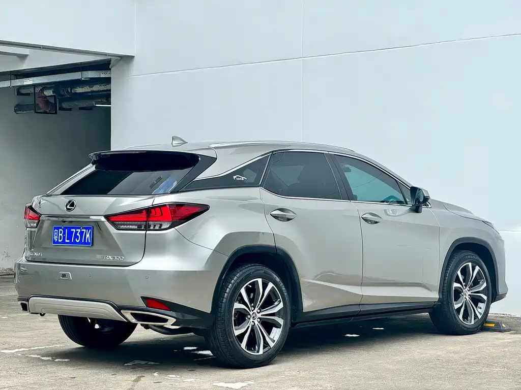Lexus RX 2021 — фото 17