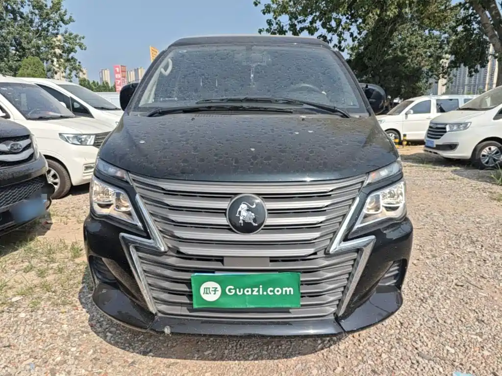 Fengxing Lingzhi 2023