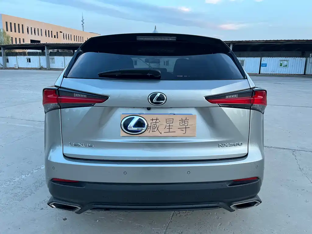 Lexus NX 2018 — фото 33