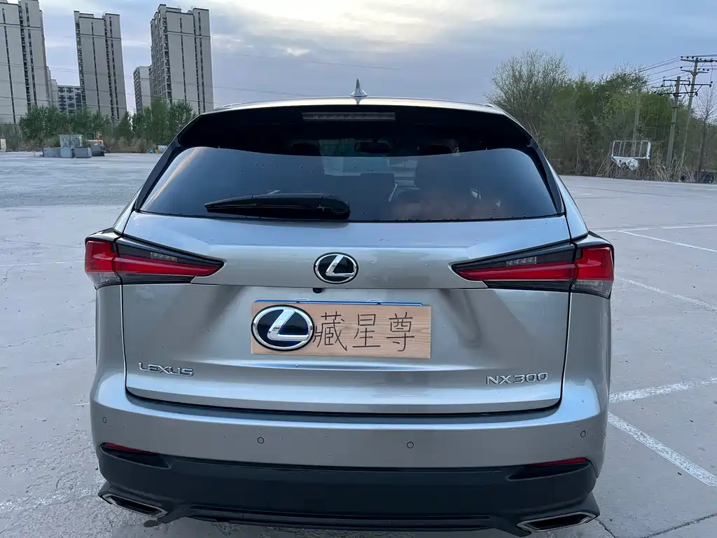 Lexus NX 2018 — фото 30
