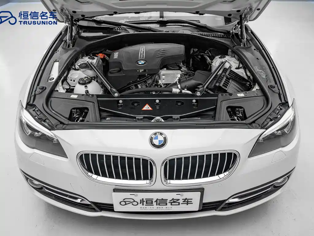 BMW 5 Series 2016 — фото 19