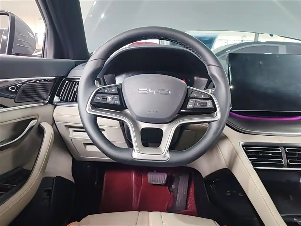 BYD PLUS New Energy 2024 — фото 11