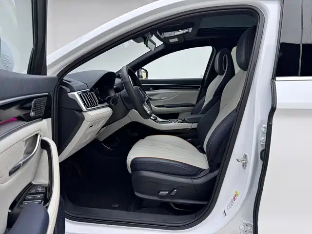 BYD PLUS New Energy 2022 — фото 15