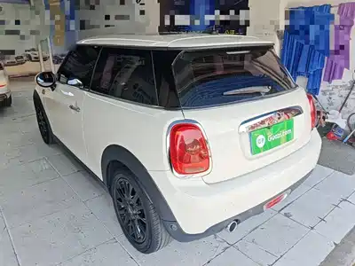 MINI MINI 2017