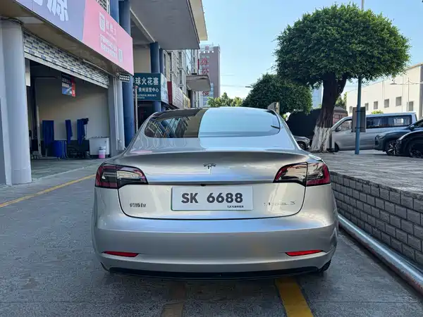 Tesla Model 3 2021