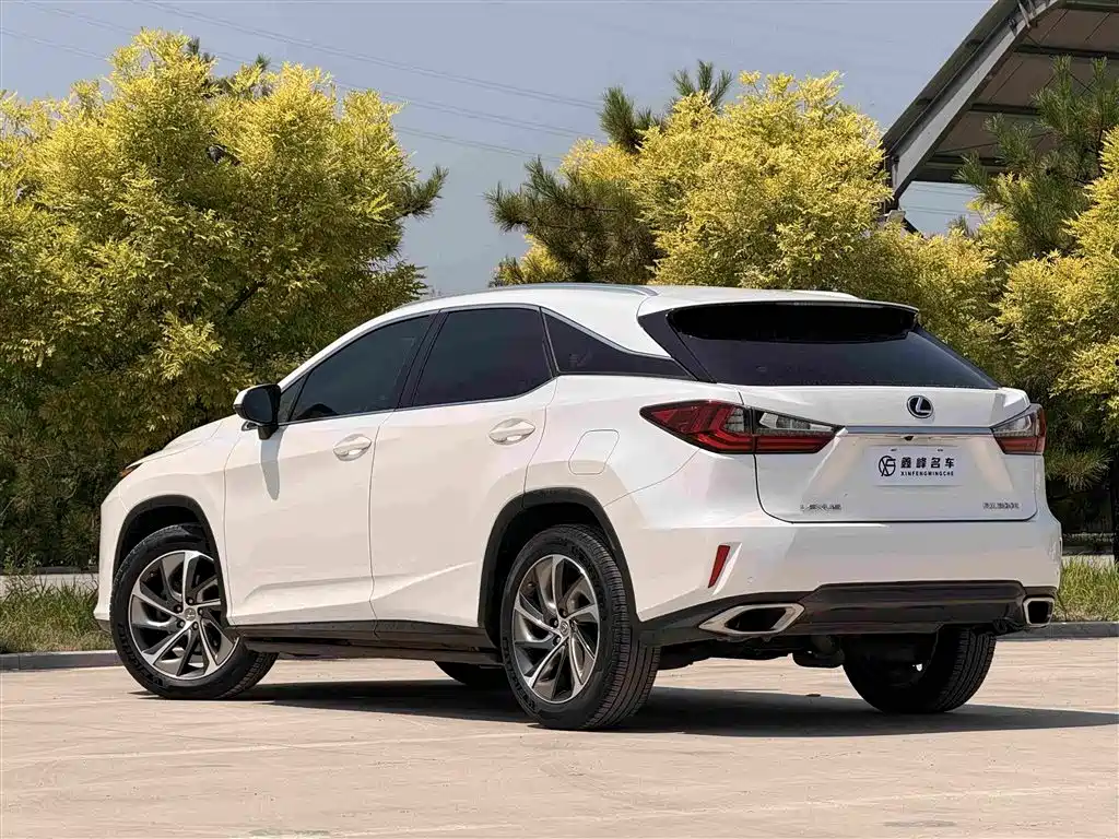 Lexus RX 2016 — фото 23