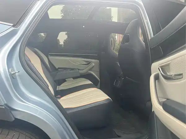 BYD Song PLUS New Energy 2024