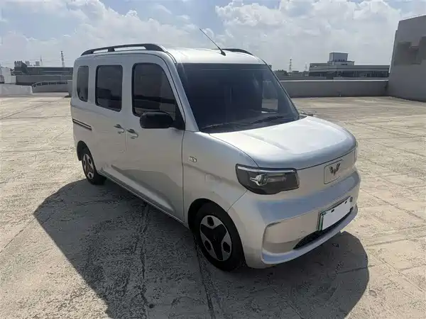 Wuling Zhiguang New Energy 2025