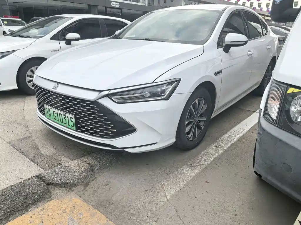 BYD Qin PLUS 2024 — фото 1