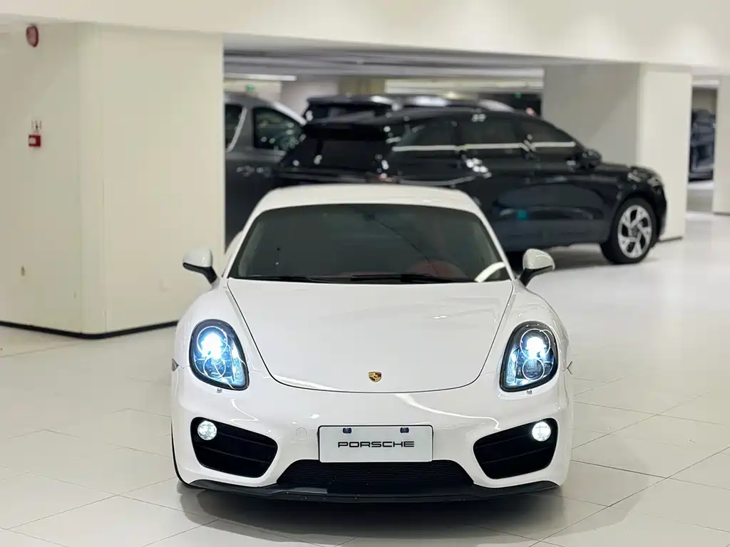 Porsche Cayman 2015 — фото 3