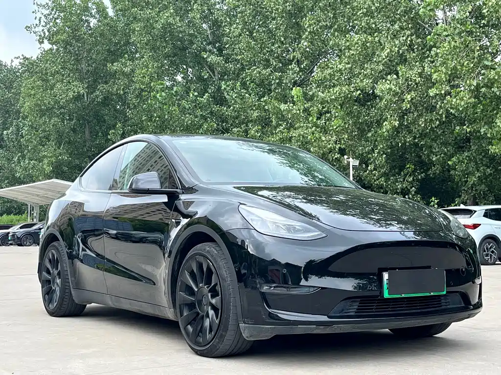 Tesla Model Y 2021 — фото 3
