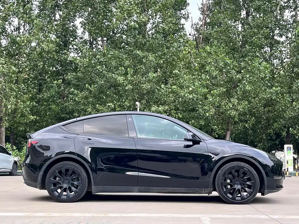 Tesla Model Y 2021 — фото 4