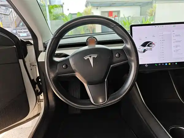 Tesla Model 3 2019