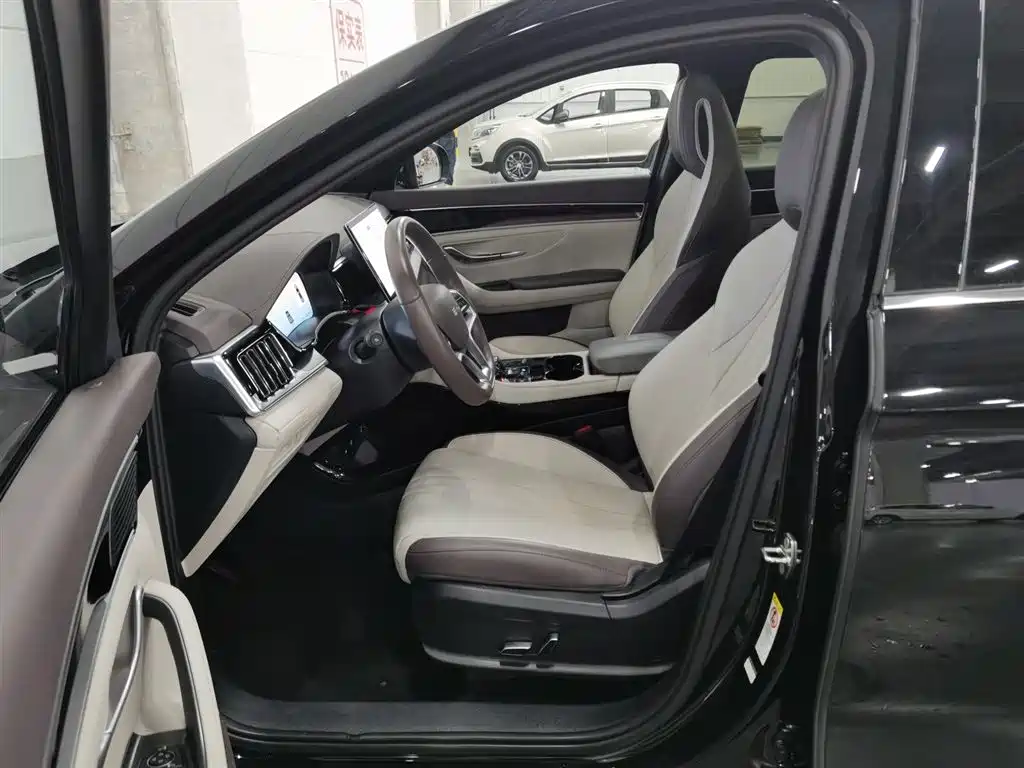 BYD PLUS New Energy 2025 — фото 10