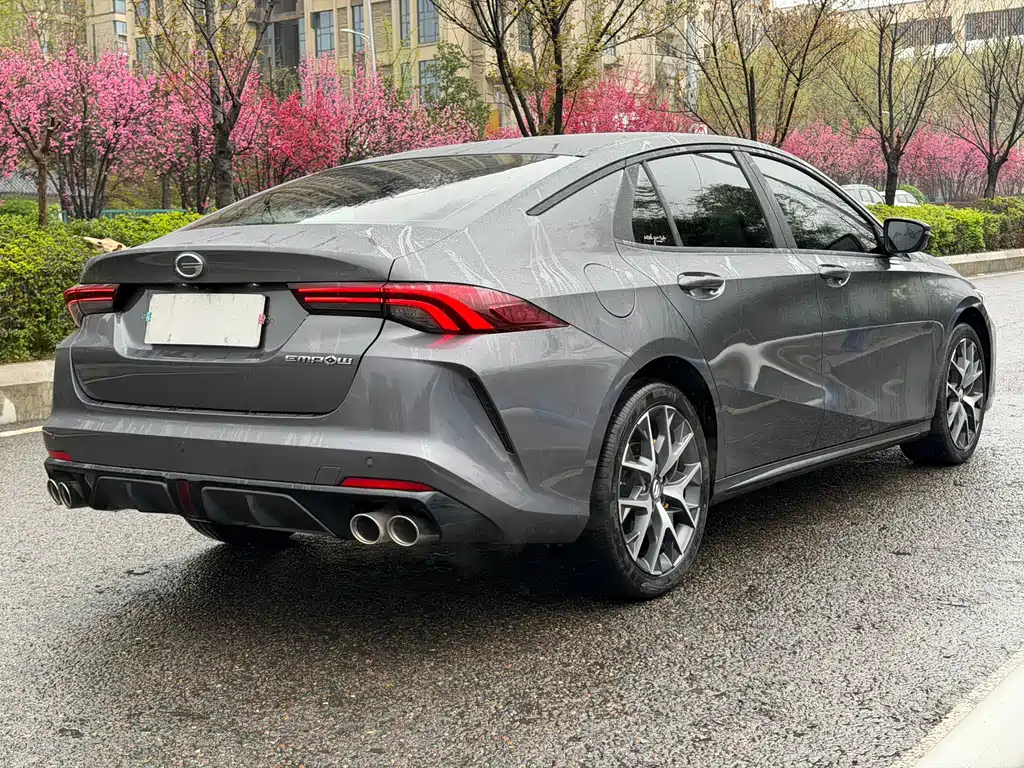 GAC Motor Shadow Leopard 2023 — фото 26
