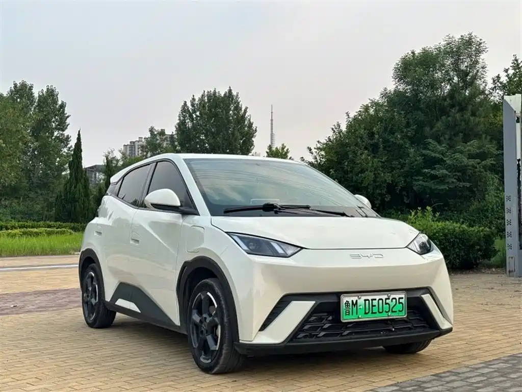 BYD Seagull 2024