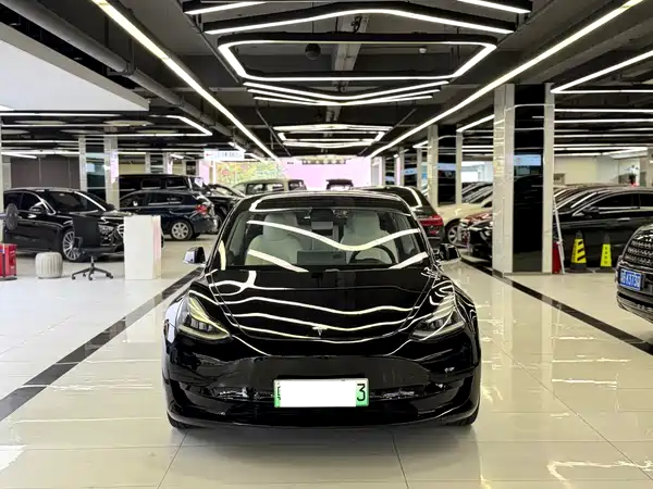 Tesla Model 3 2020