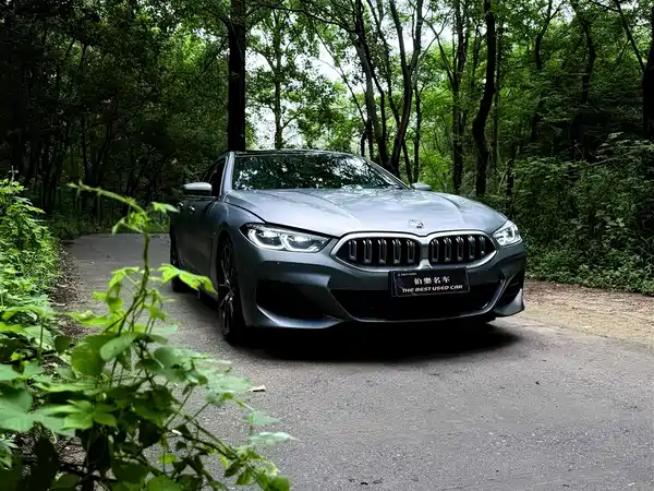 BMW 8 Series 2024