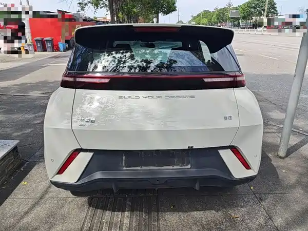 BYD Seagull 2024