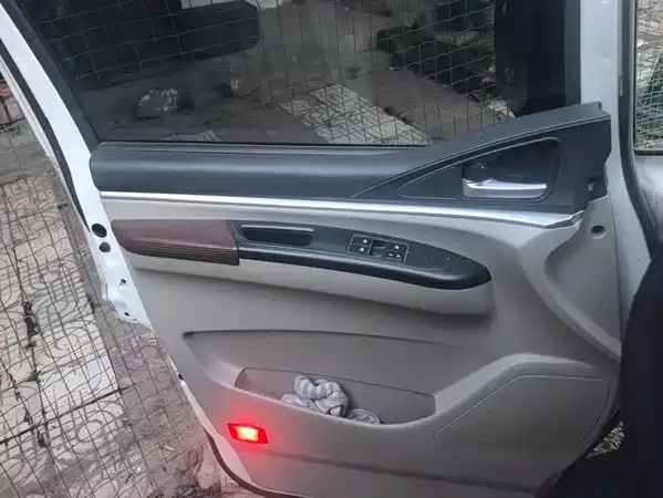 Dongfeng Lingzhi 2020