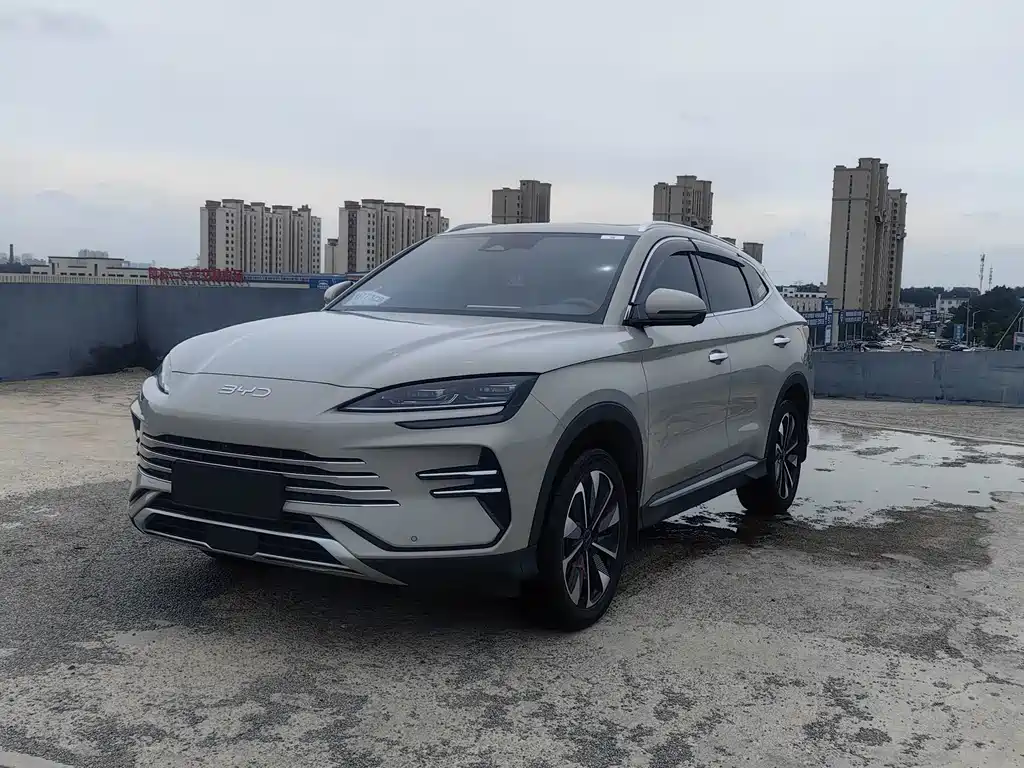 BYD Song PLUS New Energy 2024 — фото 1